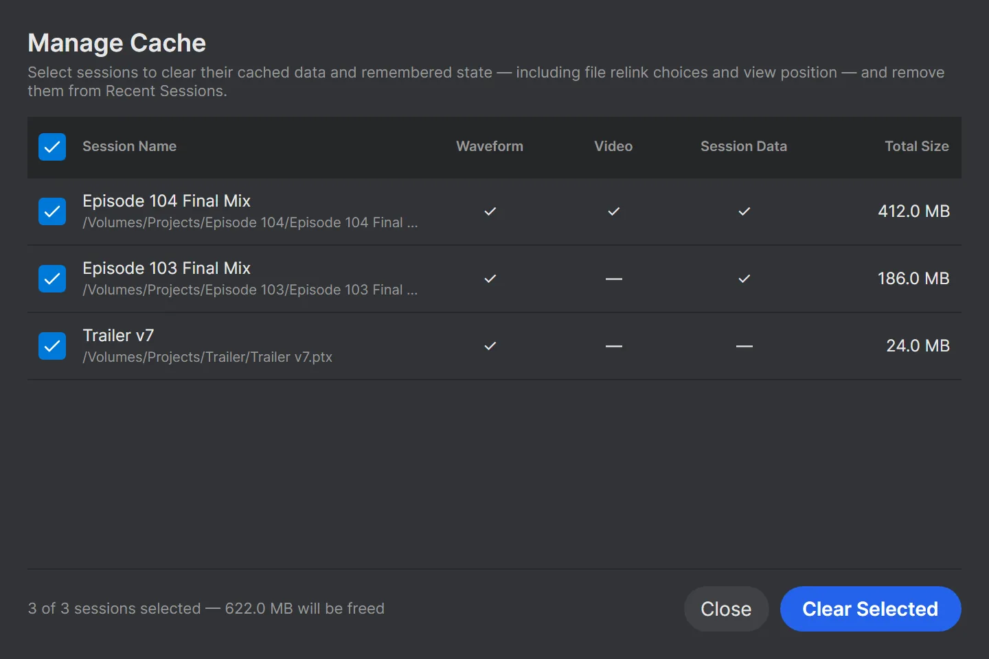The Manage Cache window listing recent sessions with their waveform, video and session data and total size.